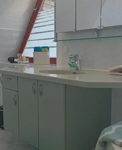 Dom wakacyjny Winzerhaus Rissweg 15 *