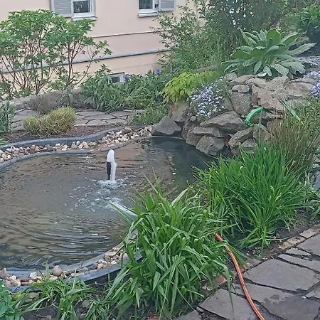 Winzerhaus Rissweg 15 Semesterbostad *